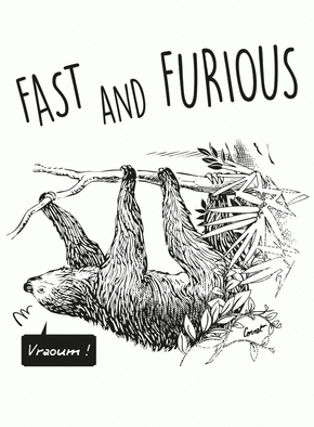 Carte humour Paresseux fast and furious